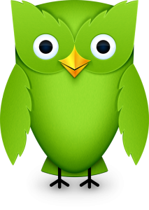 duolingo-owl